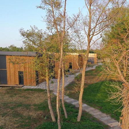 Salinas Nest - Ulcinj Stoj Ada Bojana Vila Exterior foto